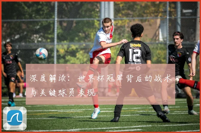 深度解读：世界杯冠军背后的战术与关键球员表现